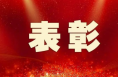 擬全省表彰！渭南8名個人、5個團隊上榜→