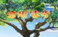 渭南原創(chuàng)動畫《倉頡傳奇》央視熱播  青少類欄目收視率全國第二