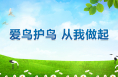 愛(ài)鳥(niǎo)護(hù)鳥(niǎo) 從我做起