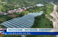 《今朝看華州》渭南市華州區金堆鎮：?特色產業助農增收???鄉村振興闊步前行