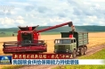 【新思想引領(lǐng)新征程·非凡“十四五”】我國(guó)糧食供給保障能力持續(xù)增強(qiáng)