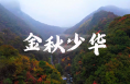 金秋少華——你想象的秋天是什么樣子？