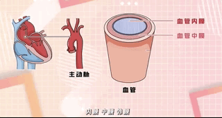 嚴重可致死！近期“扎堆”出現(xiàn)！這4類人群要警惕→