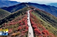 《直通縣市》富平趙老峪：漫山紅葉染秋韻