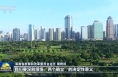 視頻丨高標準建設海南自由貿易港 總書記重要講話引發熱烈反響