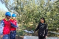 國網渭南供電公司：供電服務進果園 反光膜治理護安全