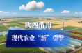 陜西渭南現代農業發展如何？AI幾句話就說清楚了！