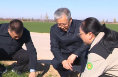 陳曉勇在大荔縣調研時強調 推進項目建設   抓實農業生產 為全市高質量發展作出更大貢獻