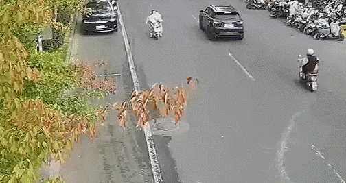 事故頻發！電動自行車“擋風被”到底該不該用？