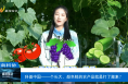 【渭南科普】科普中國——個頭大、顏色鮮的農產品就是打了激素？