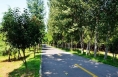 渭南东部生态公园提升改造公告