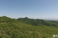 《瞰渭南》白水：五月槐香满方山