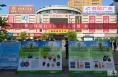 白水县多部门开展“关爱自然 刻不容缓”世界环境日主题活动