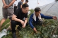 白水县民政局驻村工作队多措并举助群众脱贫
