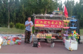 《走向我们的小康生活》张少平：只要人勤快 幸福自然来