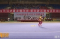 陕西省青少年武术套路锦标赛在渭南举行