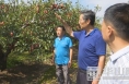 渭南市科技活动周系列报道（二）小酥梨带动大发展 科技助推产业升级