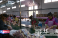 渭南英瑞驰实业有限责任公司：扩产能强质量 力争完成创汇2000万美元