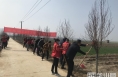 潼关县秦东镇：栽下增收“致富林”  振兴乡村有力量