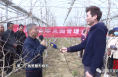 渭南市春季果园管理云课堂（六）：软籽石榴新建园的管理技术