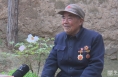 《奋斗百年路 启航新征程》白水：不忘初心报党恩 九旬老党员交纳万元特殊党费