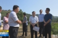 《直通县市》雷江声督导检查白水县防汛和洛河生态环境治理工作