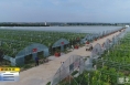 《直通县市》合阳县对“大棚房”问题专项清理整治工作进行“回头看”