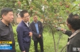 《直通县市》赵超调研检查合阳县地质灾害隐患点防灾措施及乡村振兴等工作