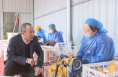 《直通县市》景军荣调研富平县柿子产业发展情况