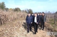 《直通县市》雷江声检查指导白水县易地搬迁安置点后续帮扶 疫情防控 巩固脱贫成果后评估工作