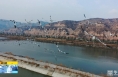 《直通县市》​洽川湿地：群鸟灵动 绘就壮美生态画卷