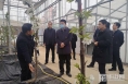 《直通县市》高成文调研澄城县乡村振兴工作