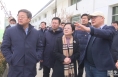 《直通县市》孙矿玲到白水县调研苹果产业发展工作