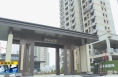《直通县市》蒲城：优服务压责任包联推进 项目建设迎来“开门红”