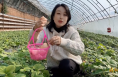 【渭南文旅】草莓采摘正当时 纵享乡村田园游