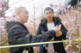 专家忙下乡 农资到地头——蒲城县春管见闻