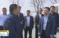 《直通县市》张旭调研澄城县农业生产和文旅融合发展工作