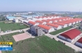 《直通县市》《奋进新征程 建功新时代》大荔：坚持“工业强县”发展战略 多措并举推动项目建设