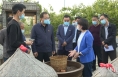 《直通县市》薛斌调研乡村振兴工作