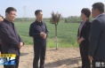 《直通縣市》趙林斌調(diào)研富平縣糧食安全工作