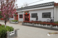 華陰市孟塬鎮曉鵬村：“農興社”讓我們的村莊越來越美麗