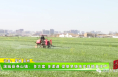 蒲城县尧山镇：多方案 多渠道 促使旱塬地实现粮食丰产