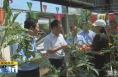 《直通县市》张旭督导调研澄城县冯原镇重点工作
