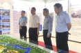 《直通县市》杜鑫调研大荔县自建房安全专项整治工作