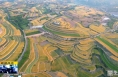 《直通县市》澄城：仲夏美景入目来