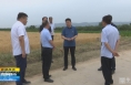 《直通县市》高成文调研澄城县“三夏”工作