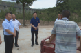 《直通县市》高成文到澄城县冯原镇调研乡村振兴工作