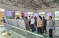 陕西省知识产权局来合阳县和家庄镇调研“合阳远志”地理标志保护情况