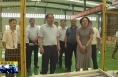《直通县市》由建新调研大荔县工业经济稳增长和帮企纾困工作开展情况