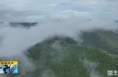 《直通县市》雨后初晴武帝山 云雾缭绕似仙境